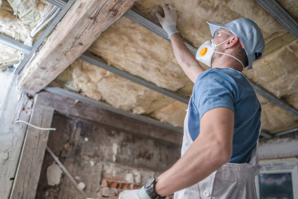Best Insulation Installation Services in Shiner, TX